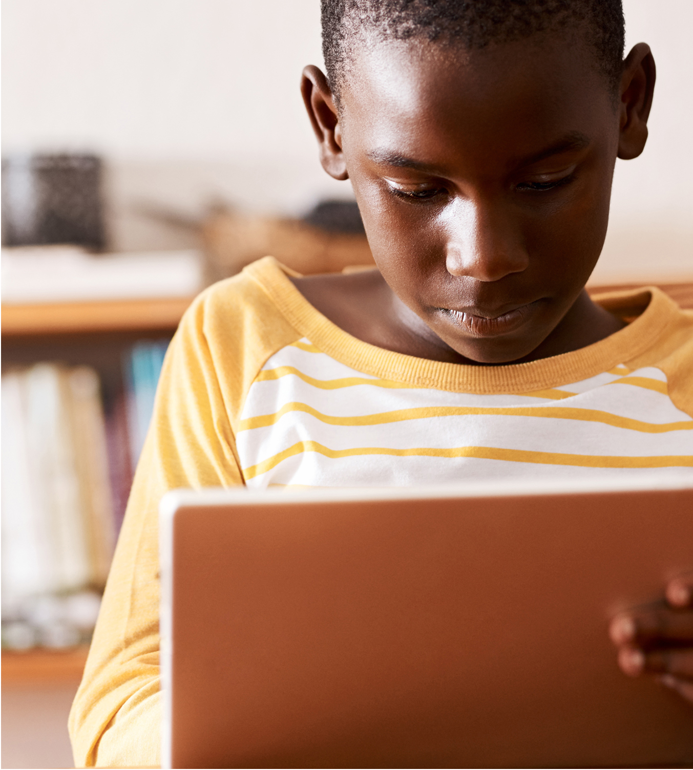 bridge-elementarylit-litboy